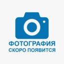 Заполнитель