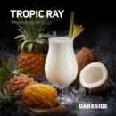 DarkSide Tropic Ray Core (Ананас Кокос) 30гр