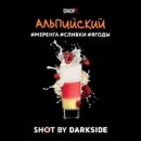 DarkSide SHOT Альпийский (Меренга Сливки Ягоды) 30гр