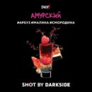 DarkSide SHOT Амурский (Арбуз Малина Смородина) 25гр