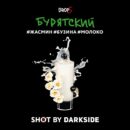 DarkSide SHOT Бурятский Трип (Жасмин Бузина Молоко) 30гр