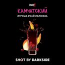DarkSide SHOT Камчатский Панч (Груша Чай Клюква) 30гр