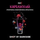 DarkSide SHOT Карельский (Черника Земляника Малина) 25гр