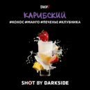 DarkSide SHOT Карибский (Кокос Манго Печенье Клубника) 30гр