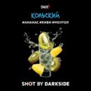 DarkSide SHOT Кольский (Ананас Киви Ментол) 30гр