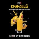 DarkSide SHOT Крымский (Дыня Персик Виноград) 30гр