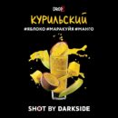 DarkSide SHOT Курильский (Яблоко Маракуйя Манго) 30гр