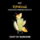 DarkSide SHOT Куршский Вайб (Нектарин Фейхоа Кактус) 30гр