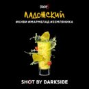 DarkSide SHOT Ладожский (Киви Мармелад Земляника) 30гр