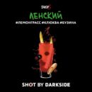 DarkSide SHOT Ленский Трип (Лемонграсс Клюква Бузина) 25гр