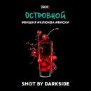 DarkSide SHOT Островной (Вишня Клюква Виски) 30гр