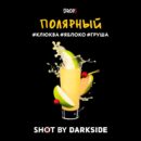 DarkSide SHOT Полярный (Клюква Яблоко Груша) 25гр