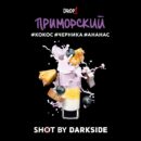 DarkSide SHOT Приморский (Кокос Черника Ананас) 30гр