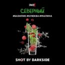 DarkSide SHOT Северный (Базилик Клюква Малина) 25гр