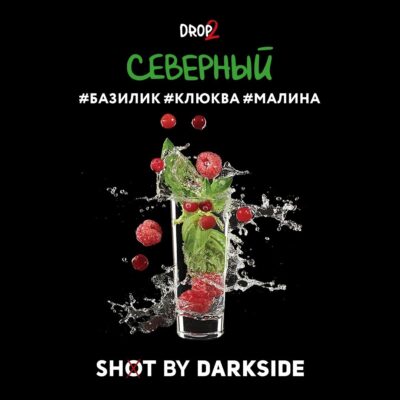 DarkSide SHOT Северный (Базилик Клюква Малина) 25гр