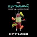 DarkSide SHOT Центральный Бит (Виноград Лайм Клюква) 30гр