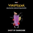 DarkSide SHOT Чукотский (Барбарис Виноград Лайм) 25гр