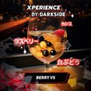 XPERIENCE by DARKSIDE Berry VS (Белый Виноград Малина Черная смородина) 30гр
