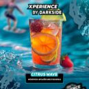 XPERIENCE by DARKSIDE Citrus Wave (Лимон Лайм Клубника) 30гр