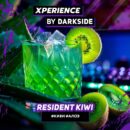 XPERIENCE by DARKSIDE Resident Kiwi (Киви Алоэ) 30гр